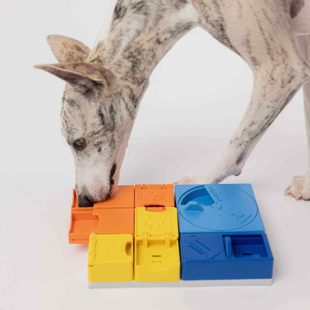 Pawzler Rainbow Set