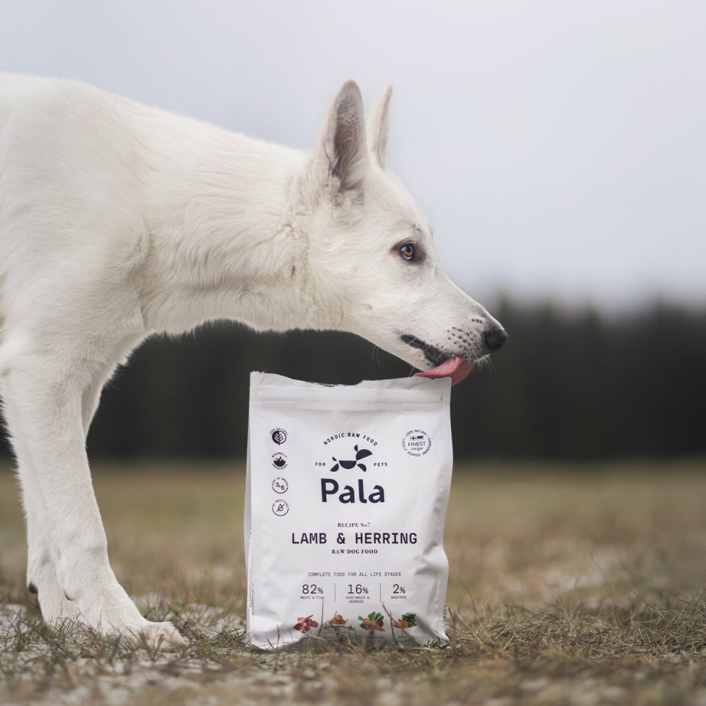 Pala - Fullfôr av lam og sild