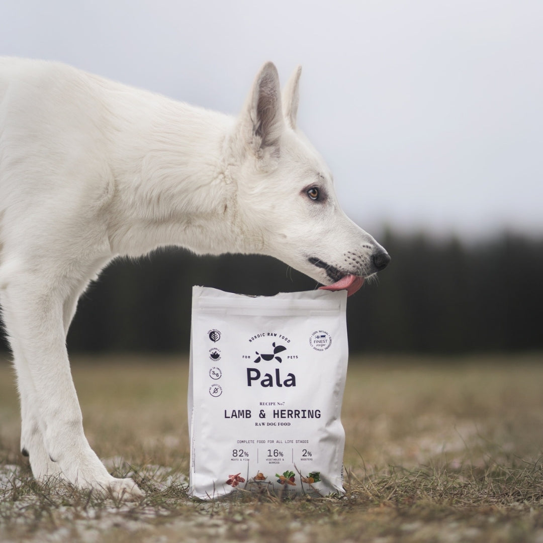 Pala - Fullfôr av lam og sild
