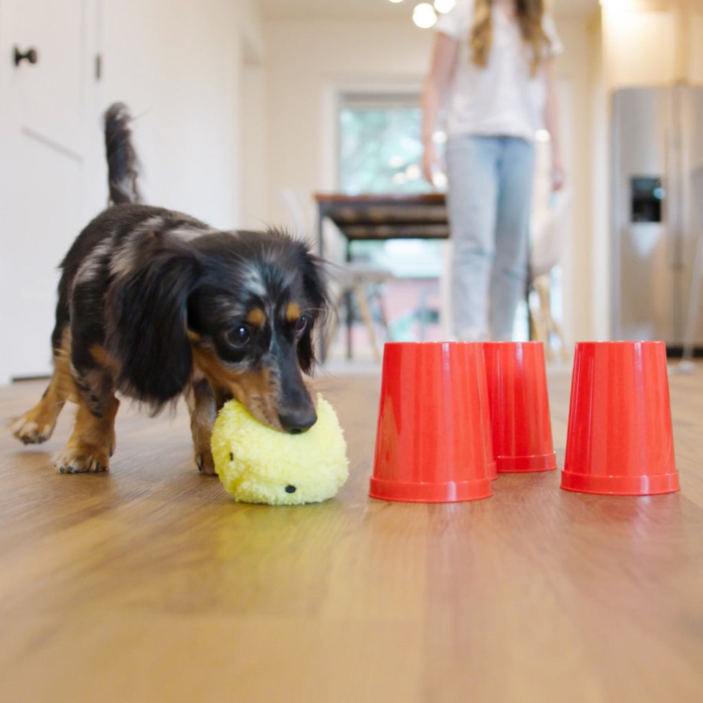 Dog’s Best Friend Game | West Paw