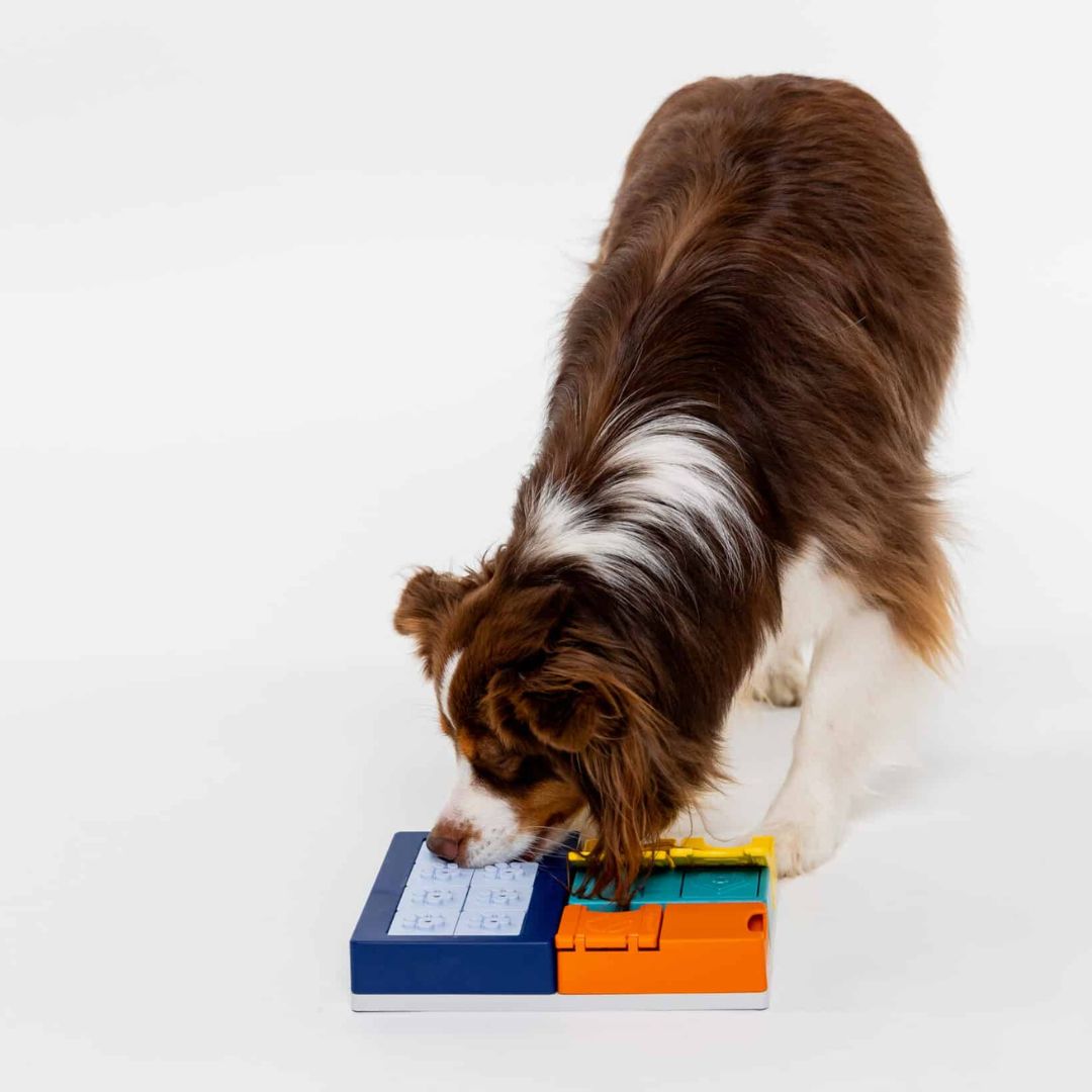 Pawzler Smarty Set