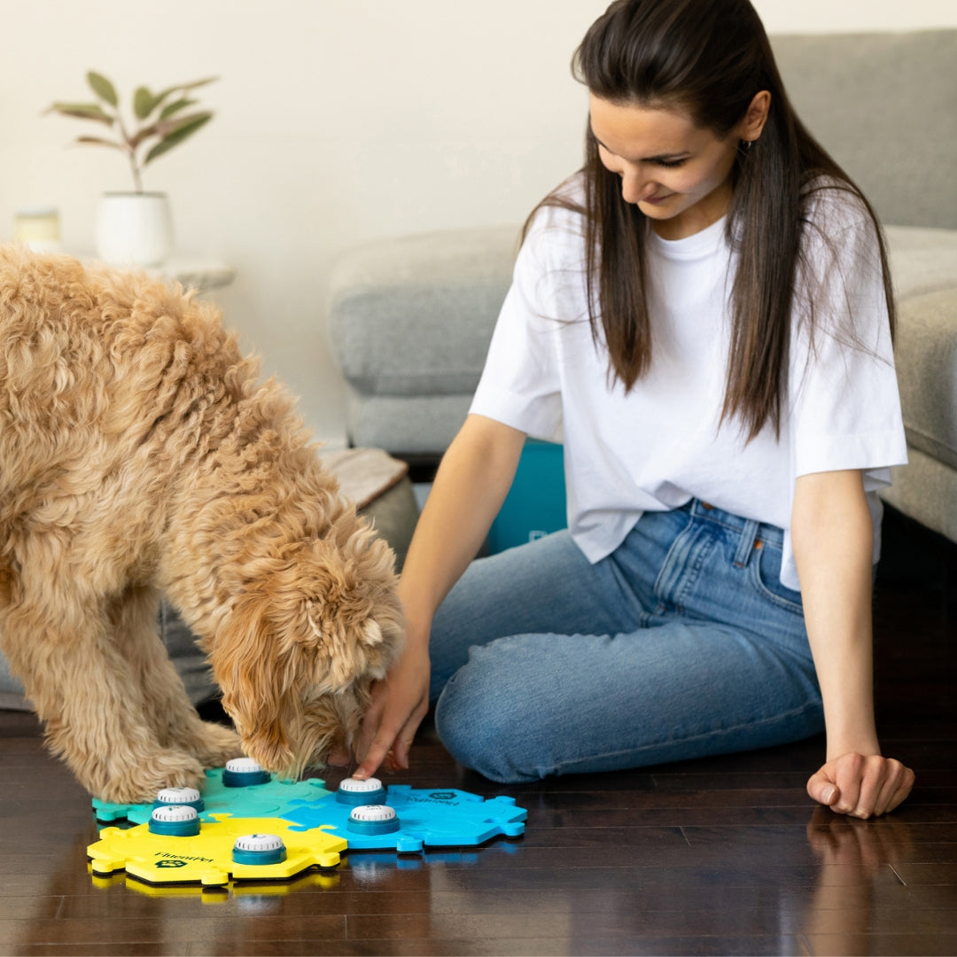 FluentPet Get Started Kit