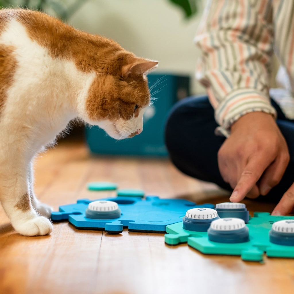 FluentPet Get Started Kit