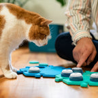 FluentPet Get Started Kit