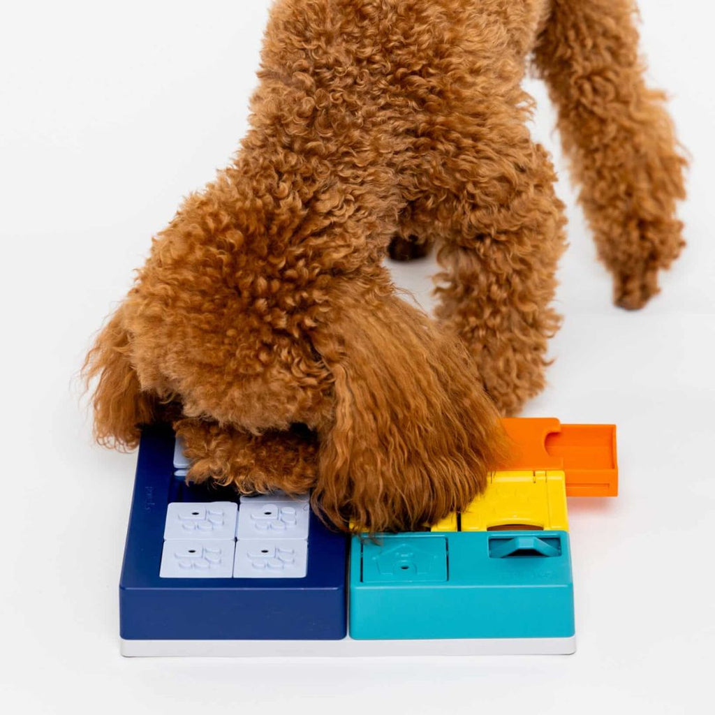 Pawzler Smarty Set