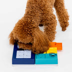 Pawzler Smarty Set