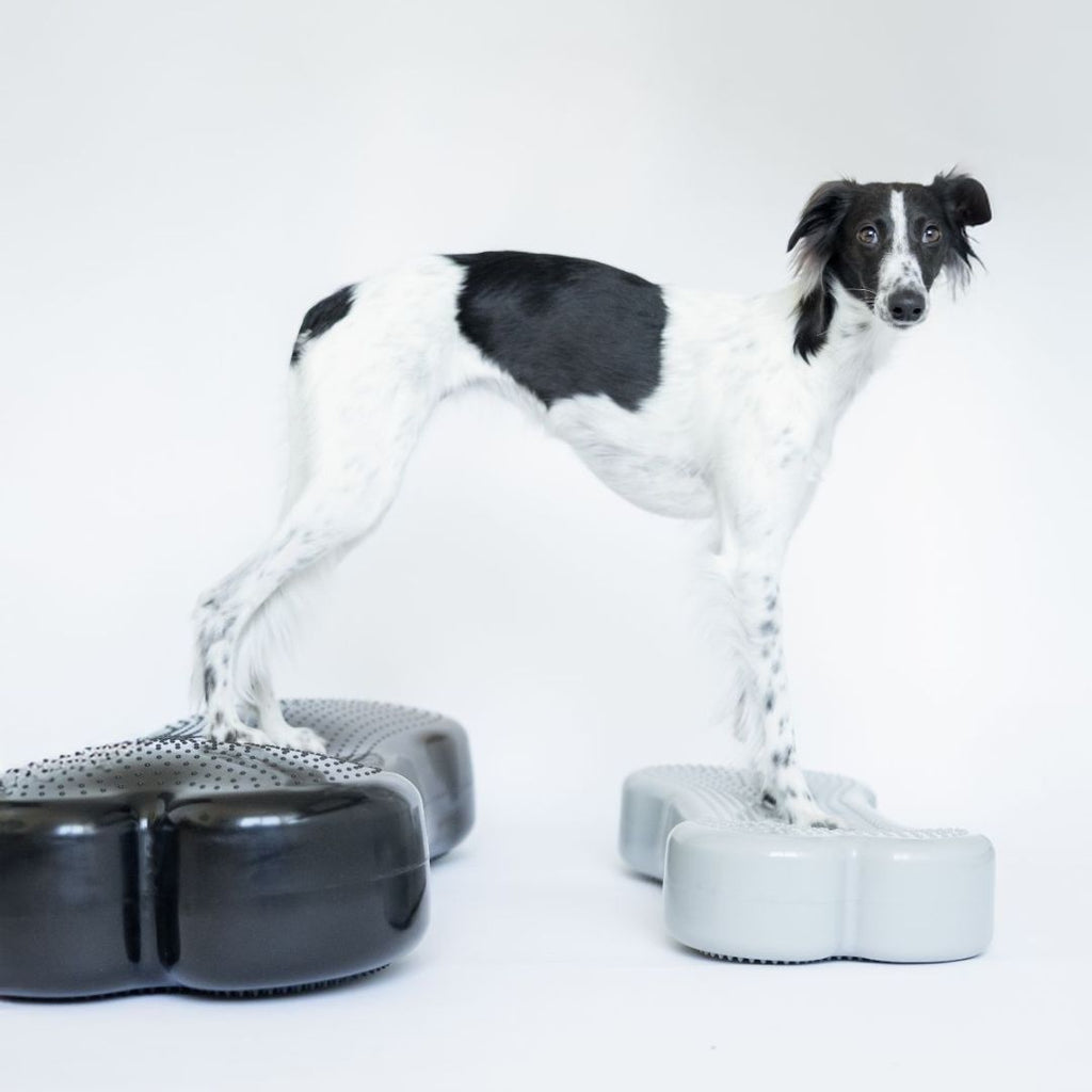 Dogbone Balance Pad
