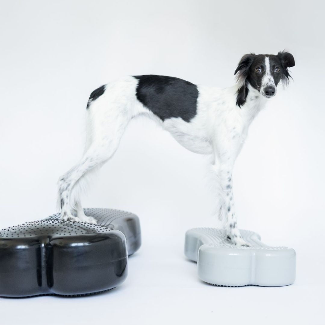 Dogbone Balance Pad