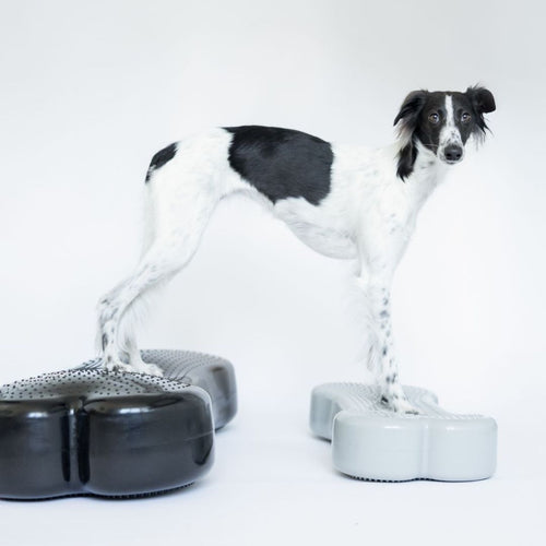 Dogbone Balance Pad
