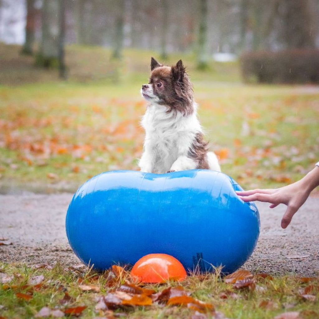 Peanøtt balanseball