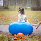Peanøtt balanseball