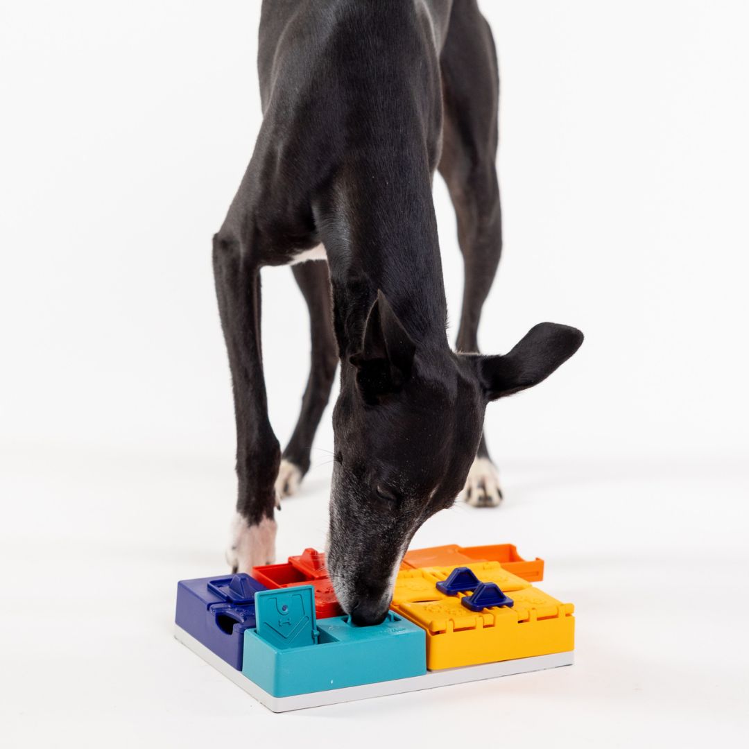 Pawzler Genius Set