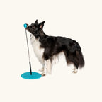 Melli4Dogs Target Set