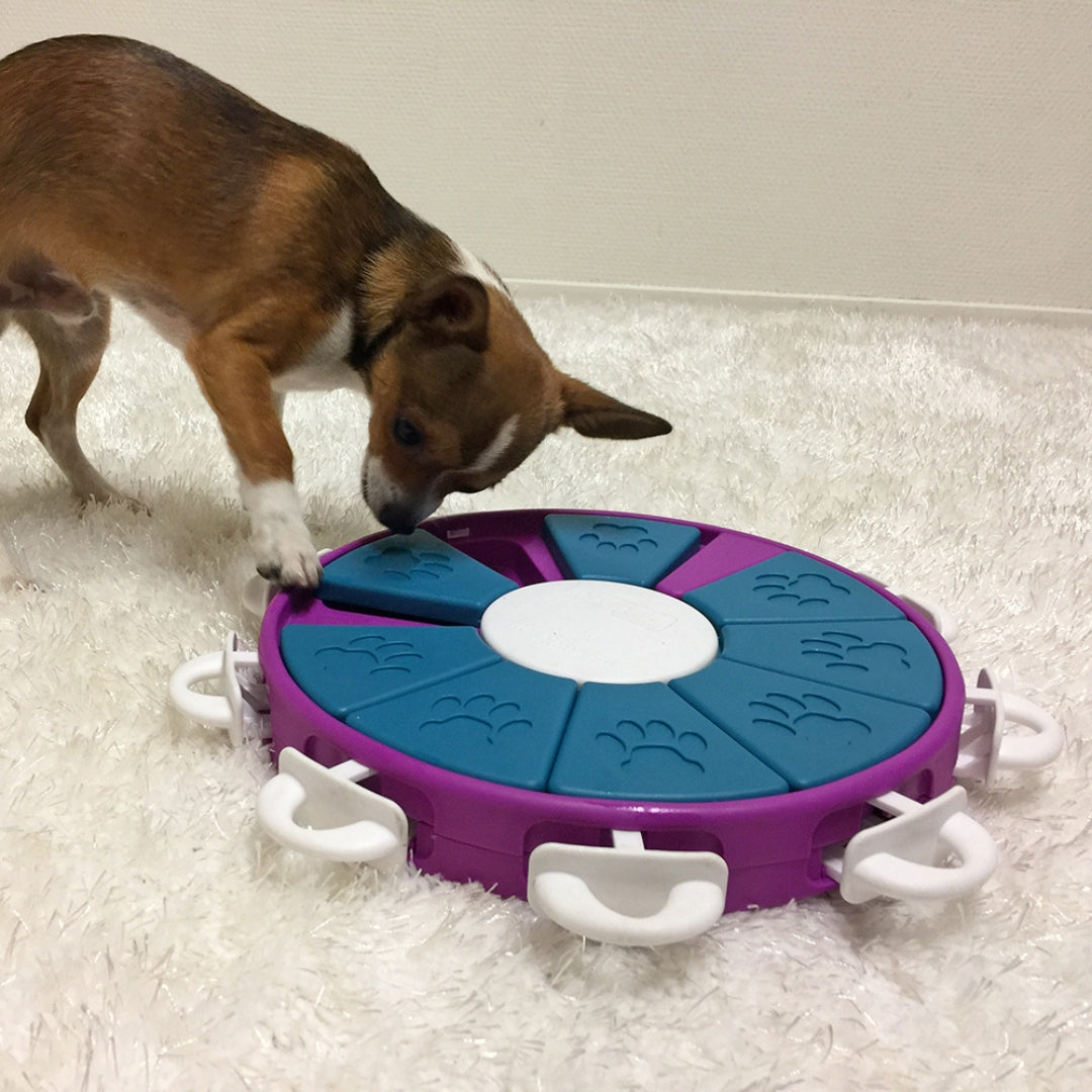 Dog Twister - Nina Ottosson