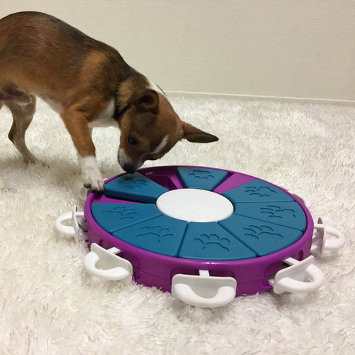 Dog Twister - Nina Ottosson