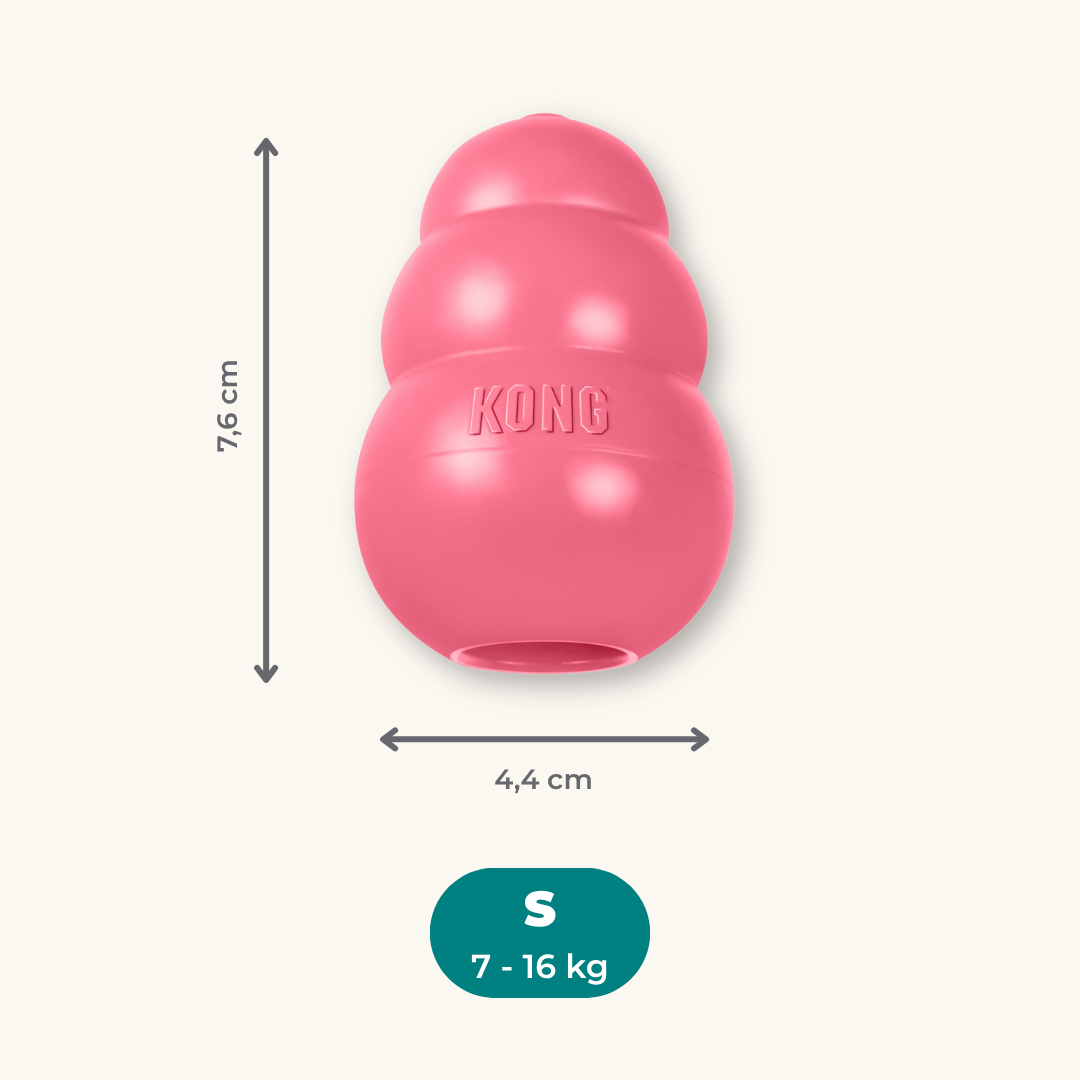 Kong Puppy