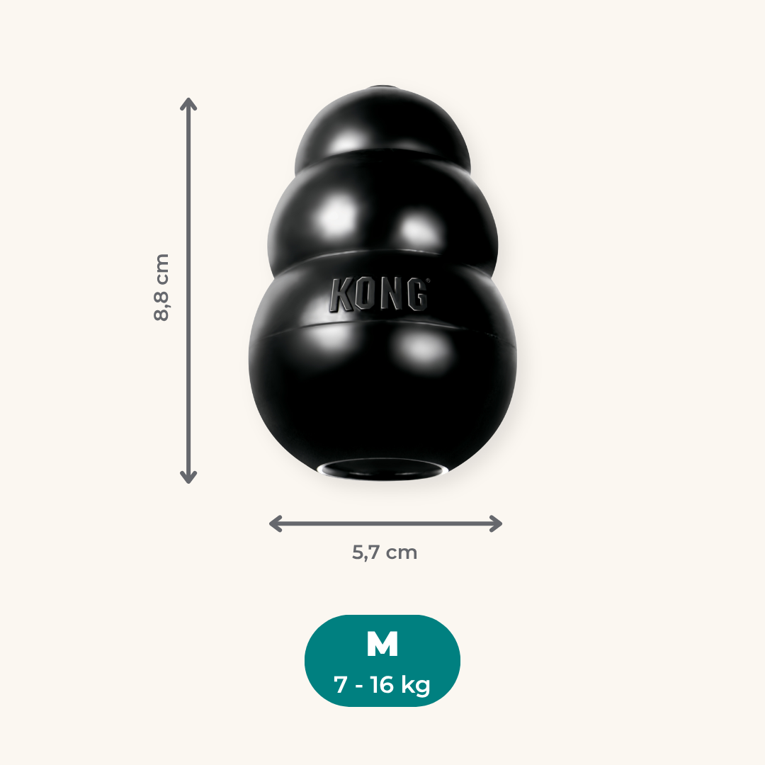 Kong Extreme