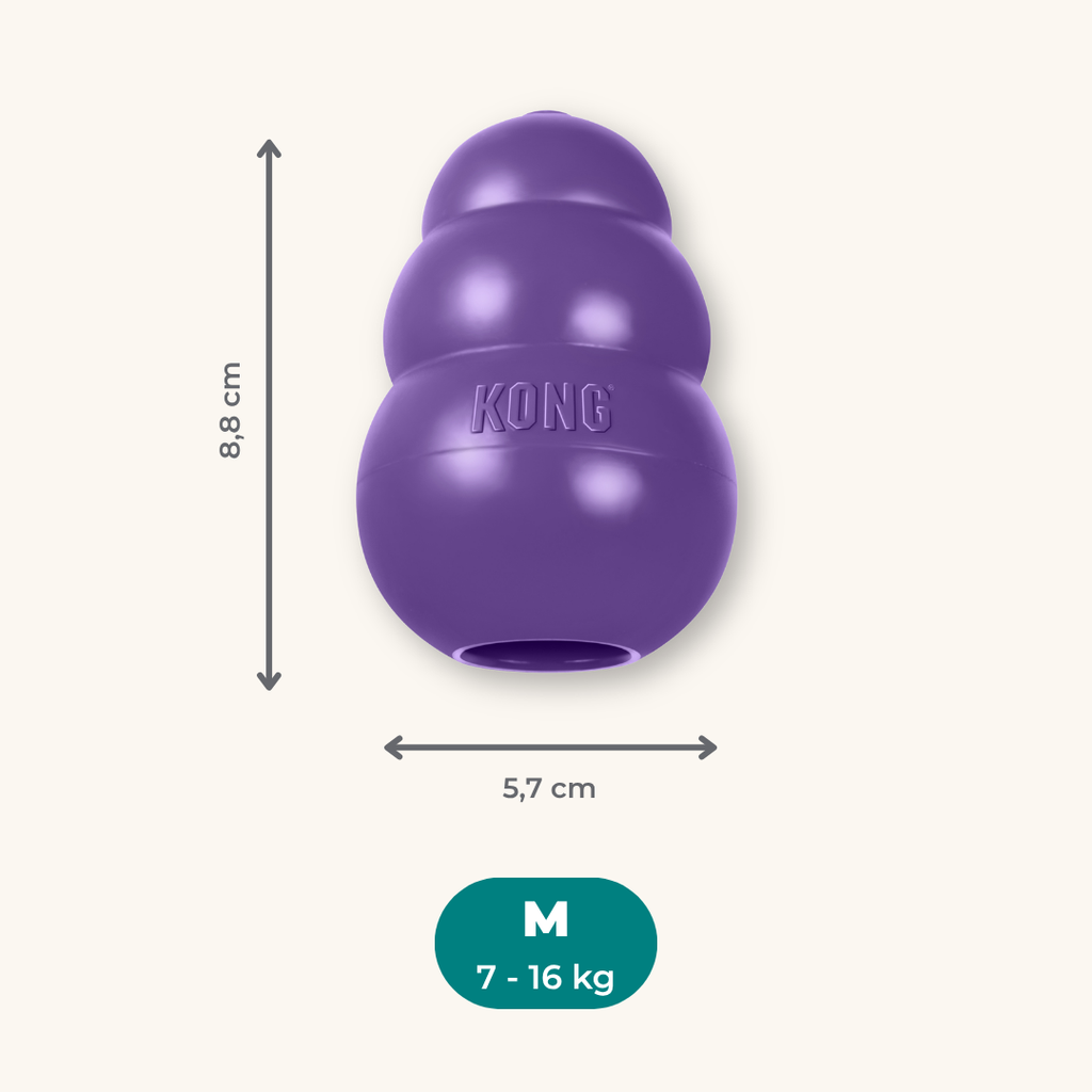 Kong Senior