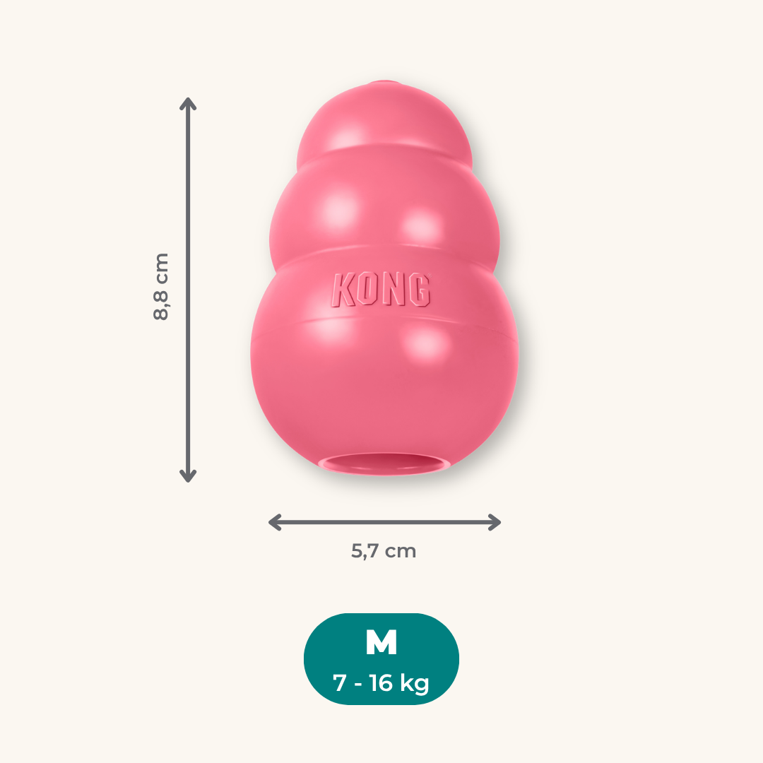 Kong Puppy
