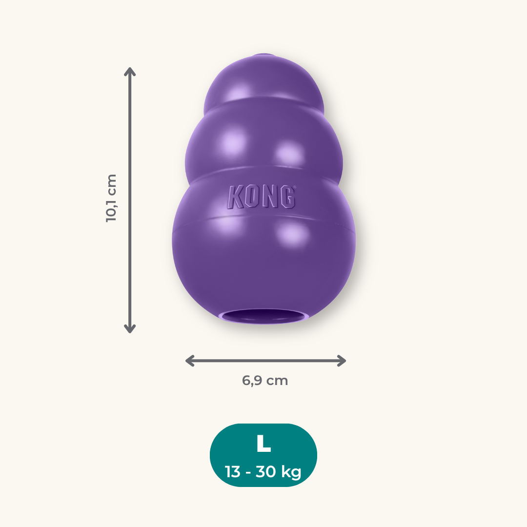 Kong Senior