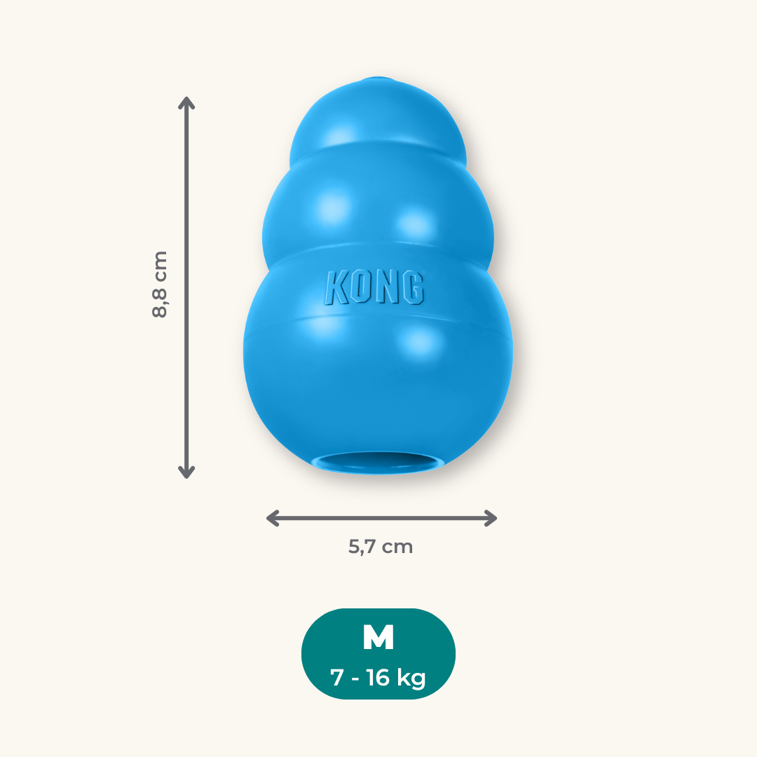 Kong Puppy