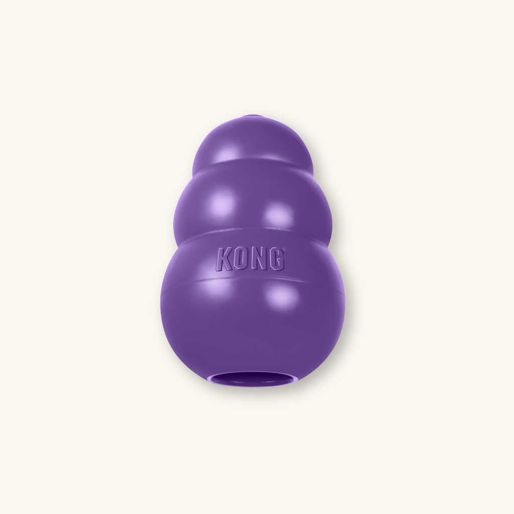 Kong Senior