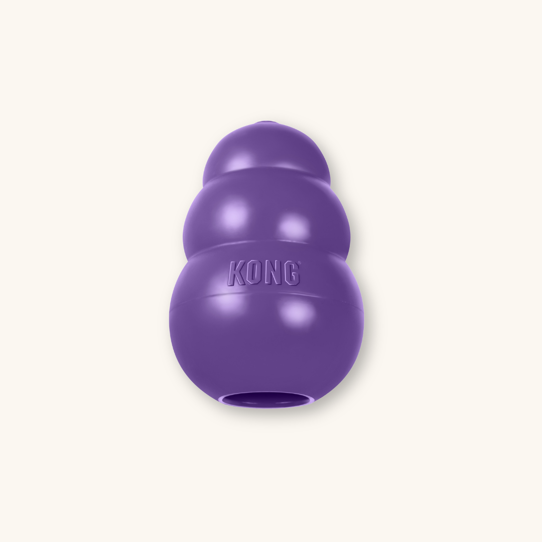 Kong Senior