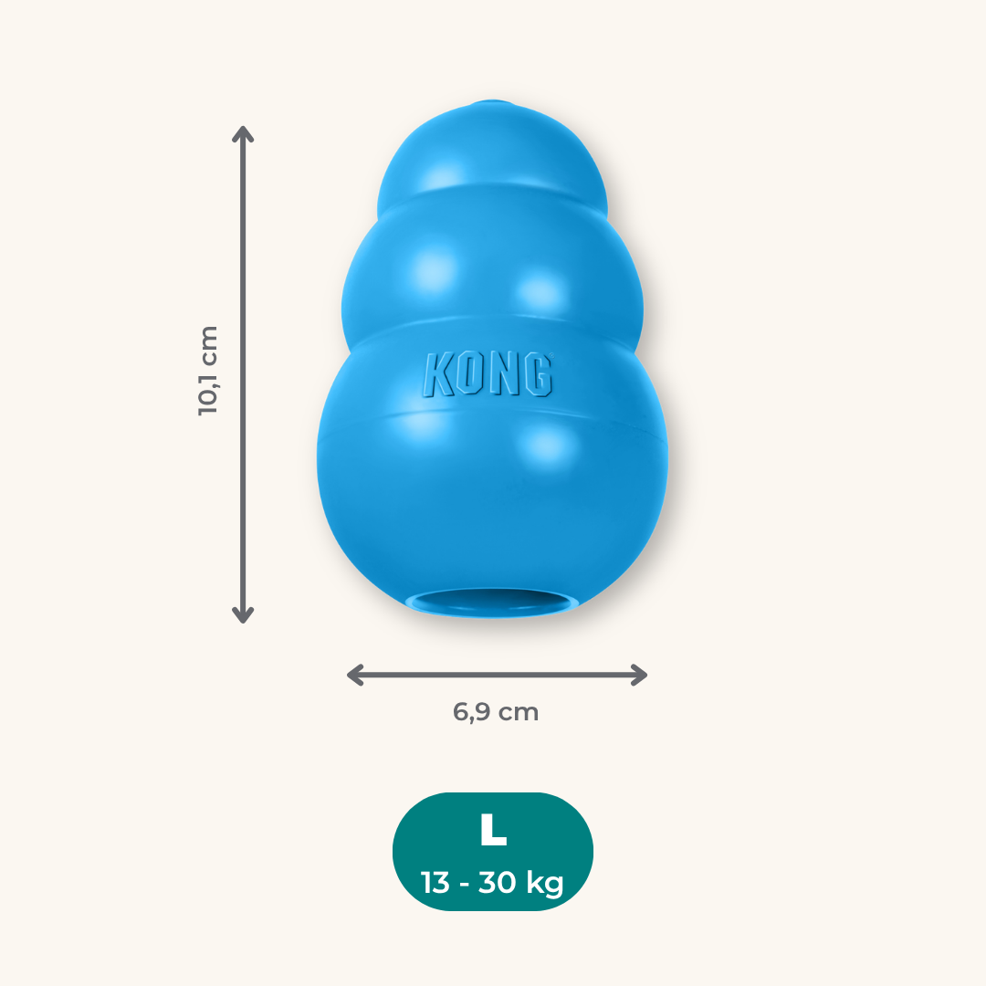 Kong Puppy