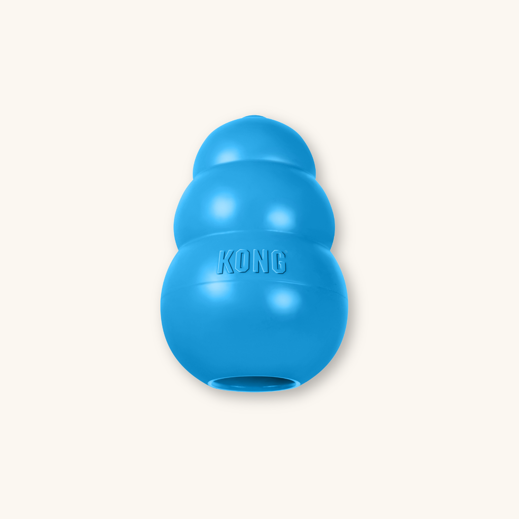 Kong Puppy