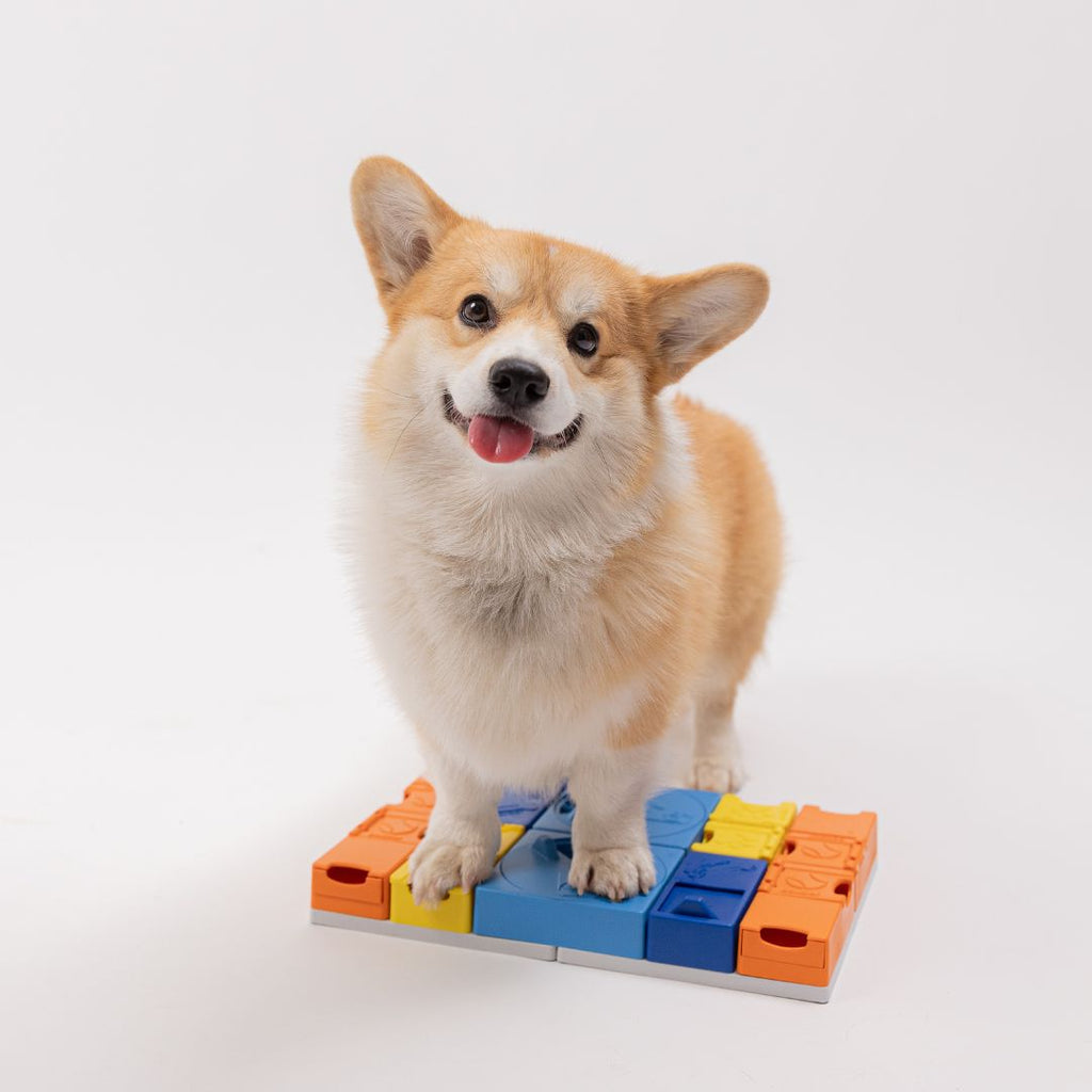 Pawzler Base