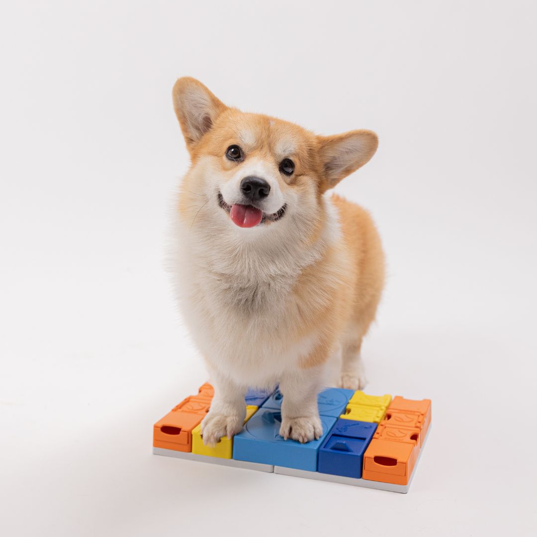 Pawzler Base