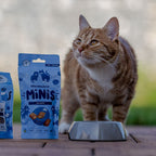 Monster Cat Minis (60g)