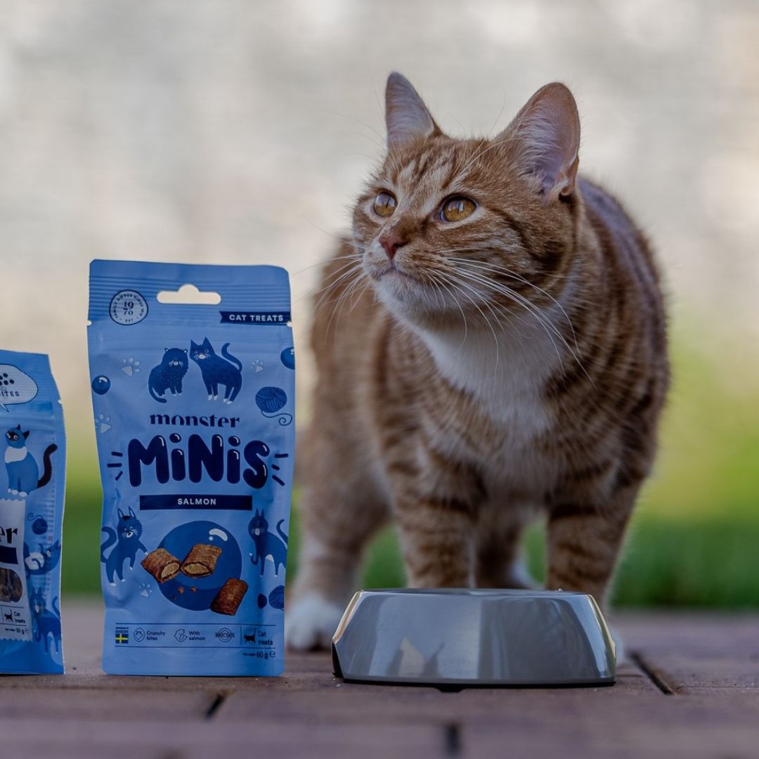 Monster Cat Minis (60g)