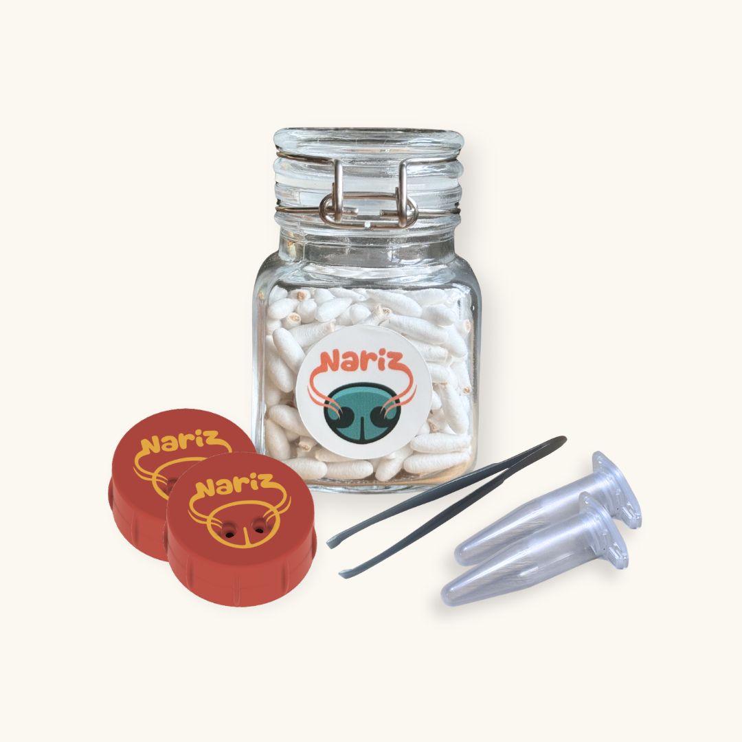 Nosework Starter Kit