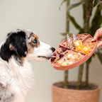 Nordic Paws slowfeeder og slikkematte, Rosie