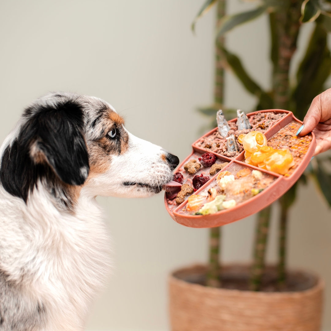 Nordic Paws slowfeeder og slikkematte, Rosie