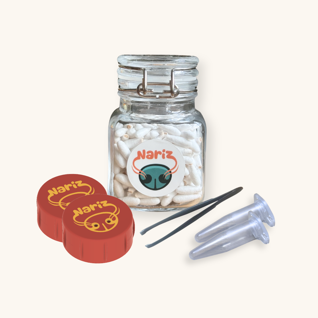 Nosework Starter Kit